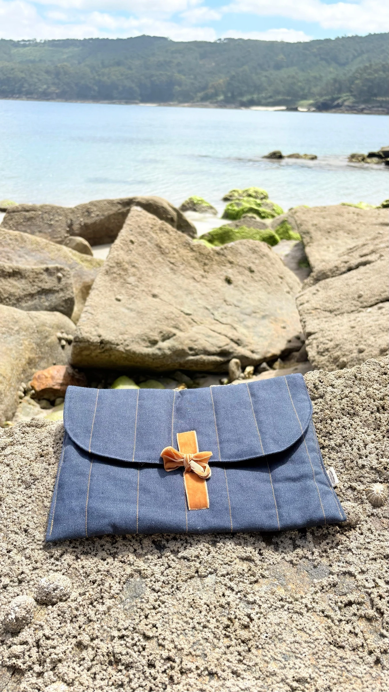 Célula iPad – photo 2